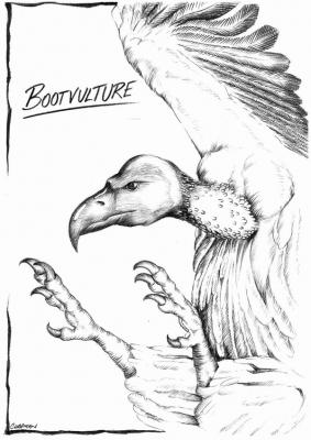 Boot Vulture